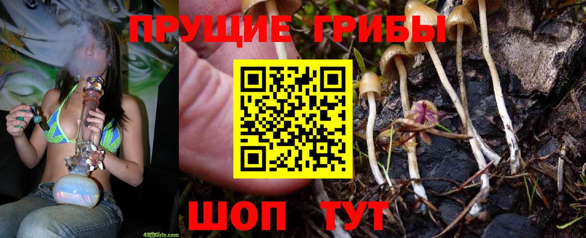 Приморско-Ахтарск  Псилоцибиновые грибы прущие грибы  Вход с VPN 